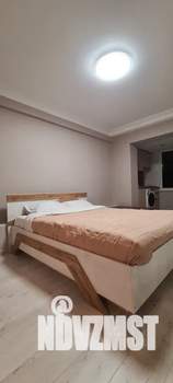 Студия квартира, посуточно, 21м2, 3/5 этаж